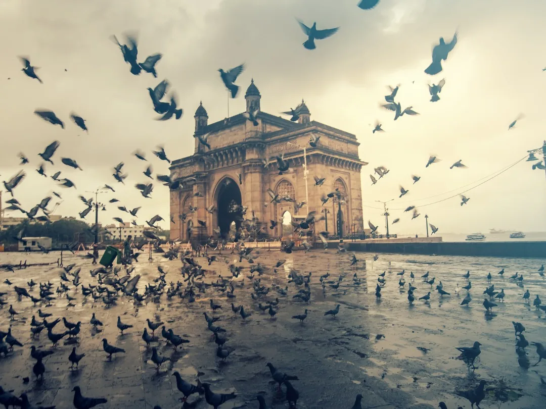 EdZola | Social Impact Circle at Mumbai